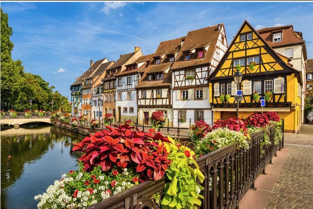 Colmar Centre - Le Schickele Appartement Buitenkant foto